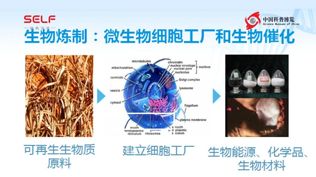 DNA创造了你,也能毁灭你!邓子新:趋利避害解码DNA是天职